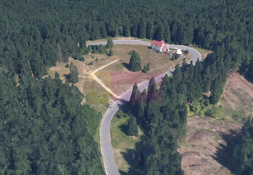 Teren Construcții intravilan de 989 mp, în Vlădeț - Trei Brazi