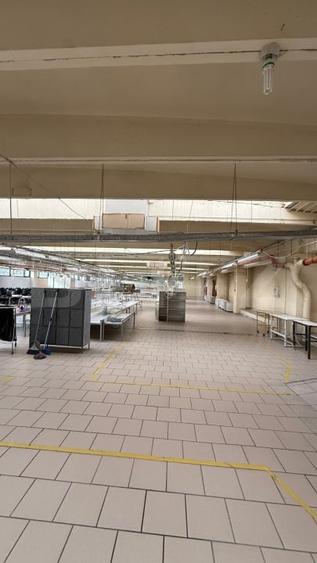 Spațiu industrial, de 1,790 mp, în Iris
