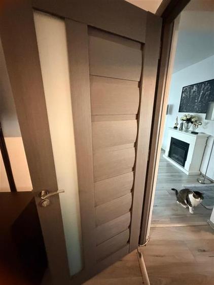 Apartament cu 3 camere decomandat, mobilat în Alexandru cel Bun