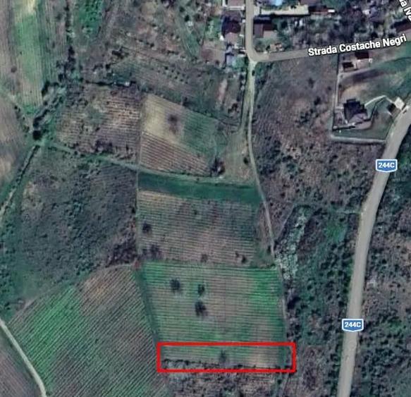 Teren de 1250 mp, în Central