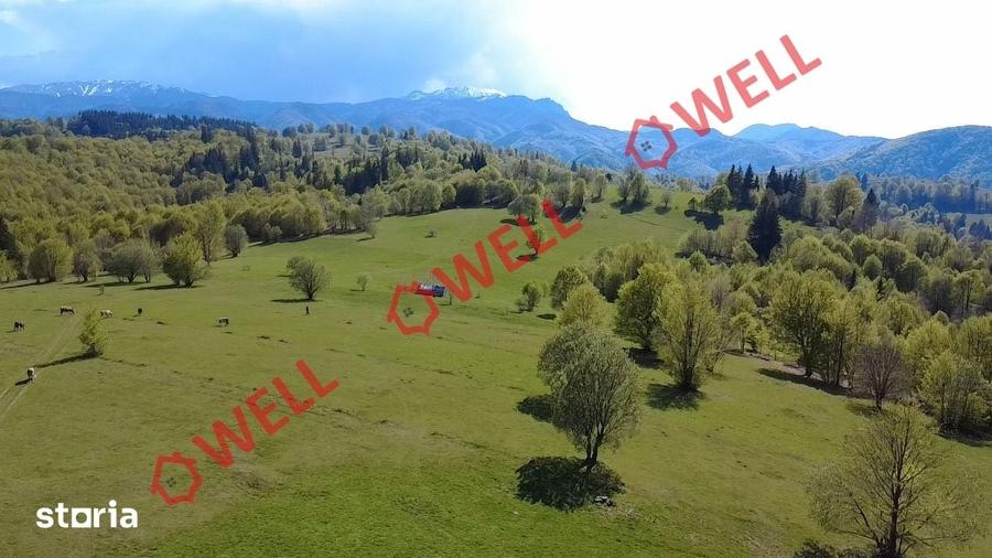Teren de 2702 mp, în Vama Buzăului