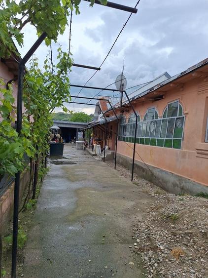 Casa de vanzare com.Carlogani - 6