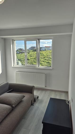 Apartament cu 2 camere în Vișan