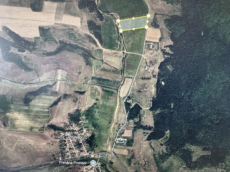 48 Hectare Prunisor Mehedintii - 5