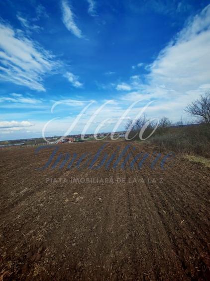 Teren agricol intravilan de 3700 mp, în Vest