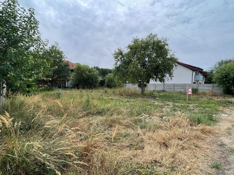 Teren Construcții intravilan de 707 mp, în Dumbrăvița