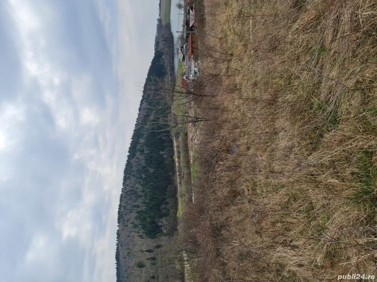 Teren de 514 mp, în Moacșa