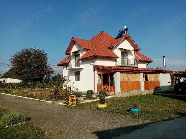 Casă cu Teren 2400 Mp în Vărădia de Mureș