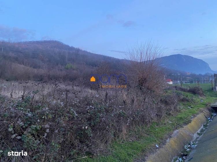 Spațiu comercial, în Mehadia