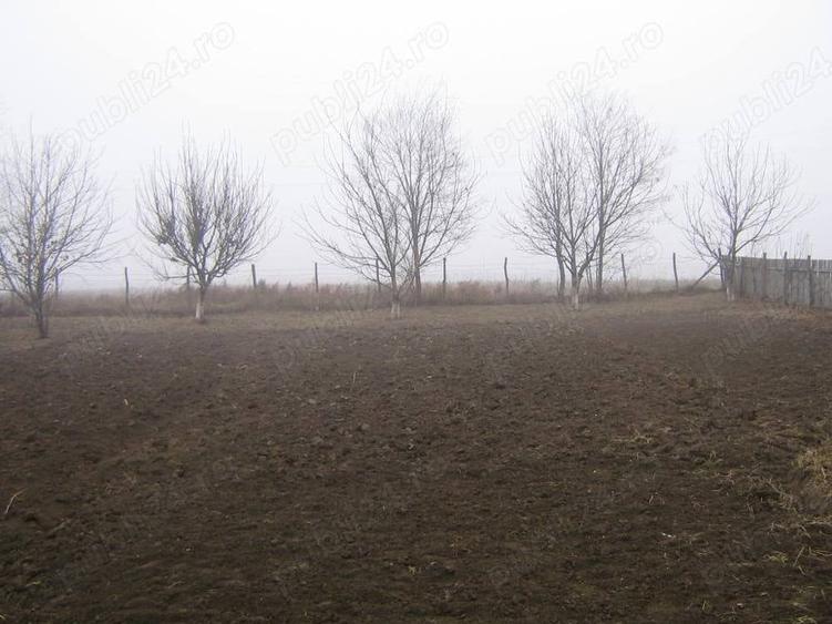 Casă cu 3 camere în Socrujeni