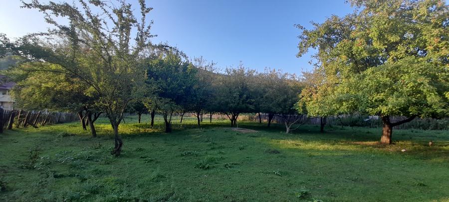 Teren Construcții intravilan de 20000 mp, în Valea Lungă