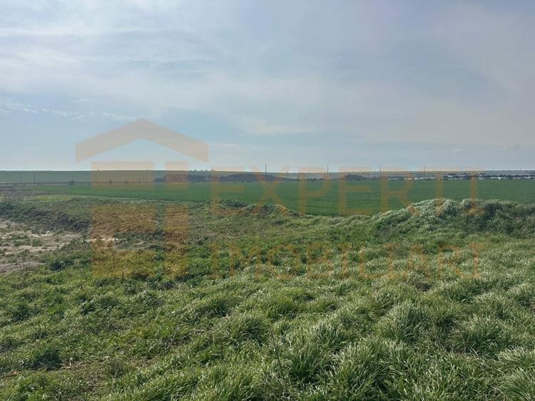 Teren Construcții intravilan de 10000 mp, în Valu lui Traian