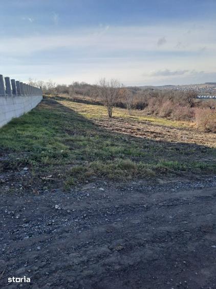 Teren de 900 mp, în Central