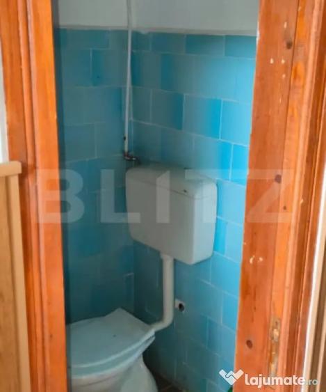 Casă cu 3 camere cu Teren 1500 Mp în Gemenea-Brătulești