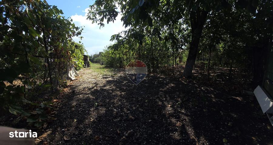 Casă cu 3 camere cu Teren 900 Mp în Odobești