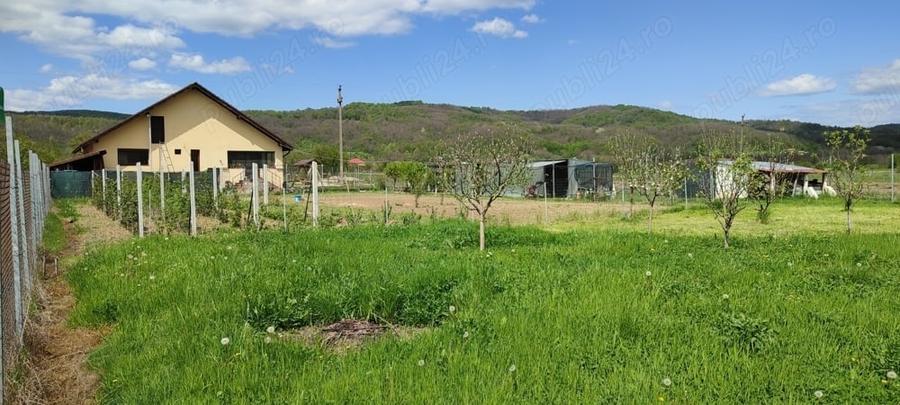 Casă cu 4 camere cu Teren 2000 Mp în Predești
