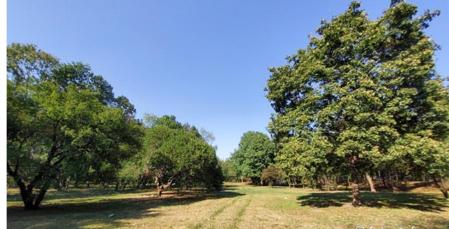 2 camere Parcul Verdi Floreasca - 4