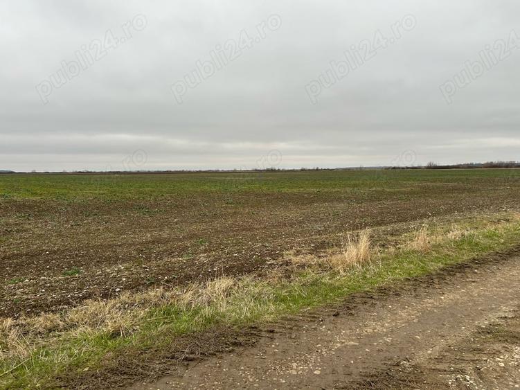 Teren de 15500 mp, în Tărtășești