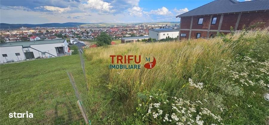 Spațiu comercial, în Cetate