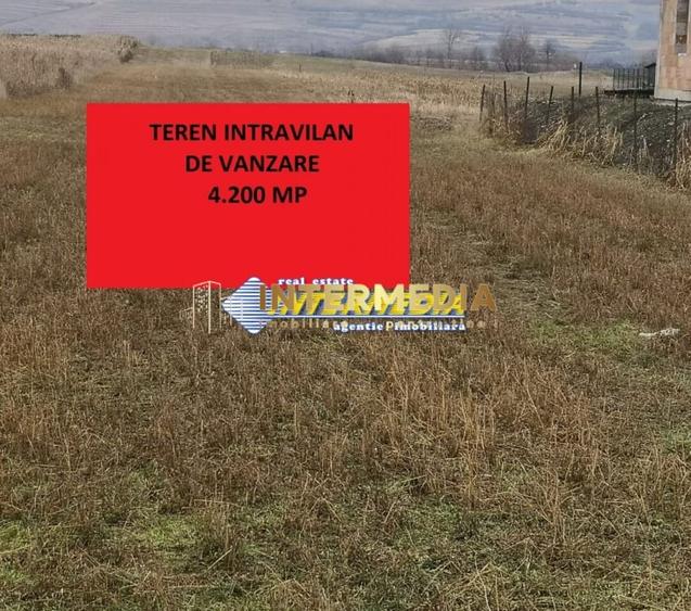Teren Construcții intravilan de 4200 mp, în Cetate