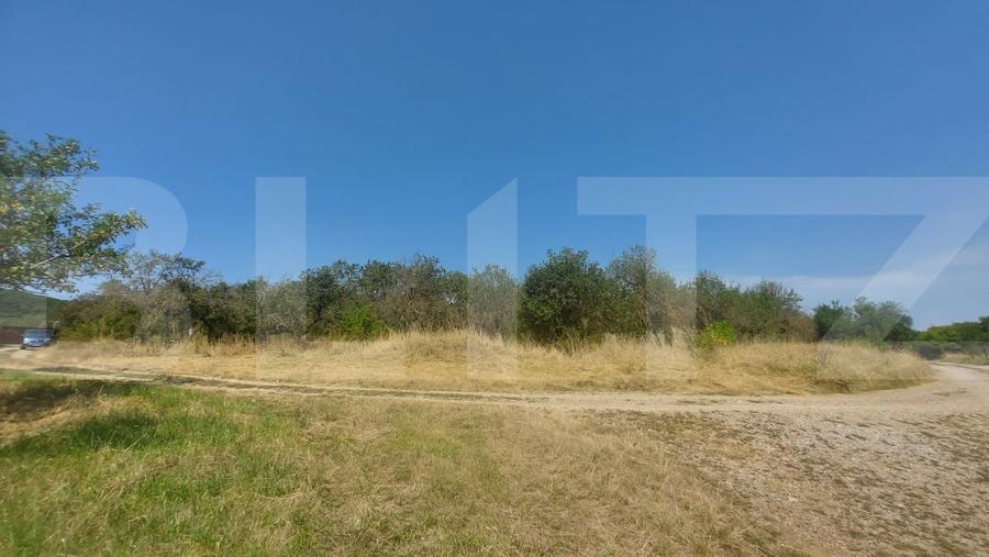 Teren agricol extravilan de 5150 mp, în Simeria
