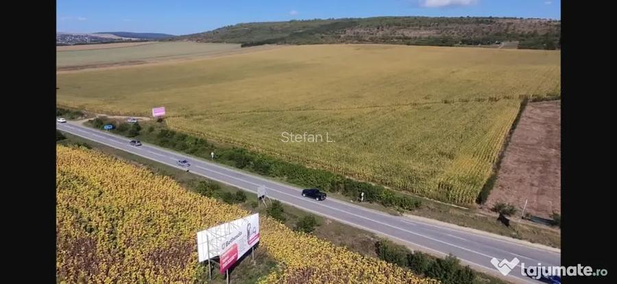 Teren de inchiriat 31 ari, la ie?irea din Suceava spre Patrau?i