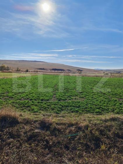Teren agricol extravilan de 8300 mp, în Crăești