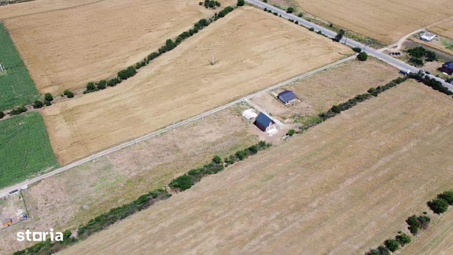 Lot Intravilan In Rate Com. Berceni | utilitati: curent/gaz | #MG4E - 1