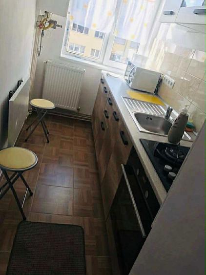 Apartament cu 2 camere semidecomandat în Botiza