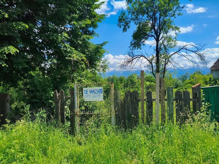 Teren de 1713 mp, în Colun