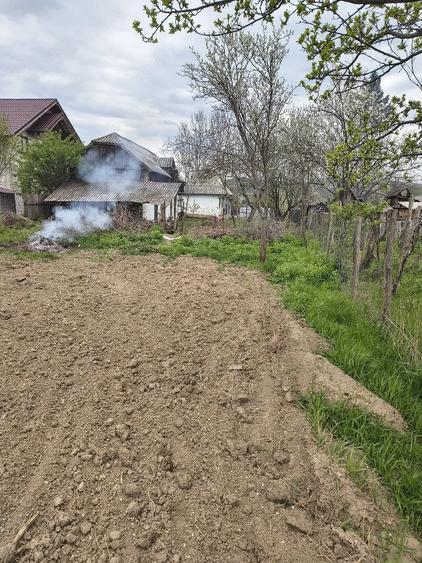 Casă cu Teren 1373 Mp în Prăjoaia