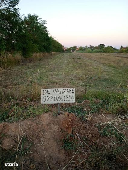 Teren de 1500 mp, în Ciolpani