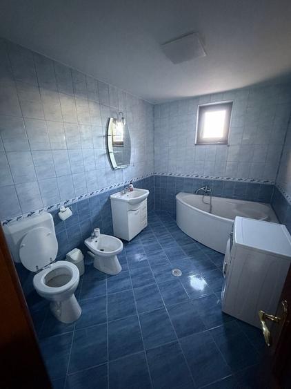 Spațiu comercial, de 270 mp, în Golești