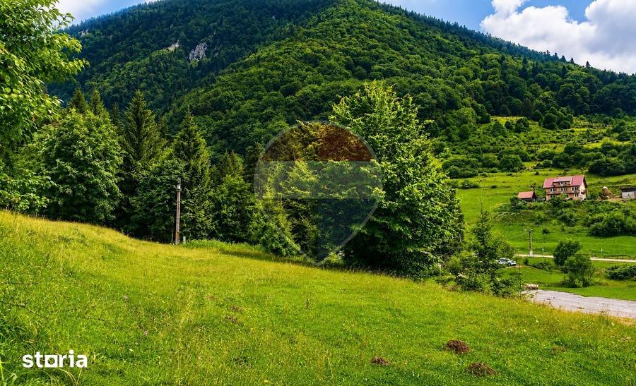 Teren intravilan 2500mp | Zarne?ti | Parcul Na?ional Piatra Craiului - 2