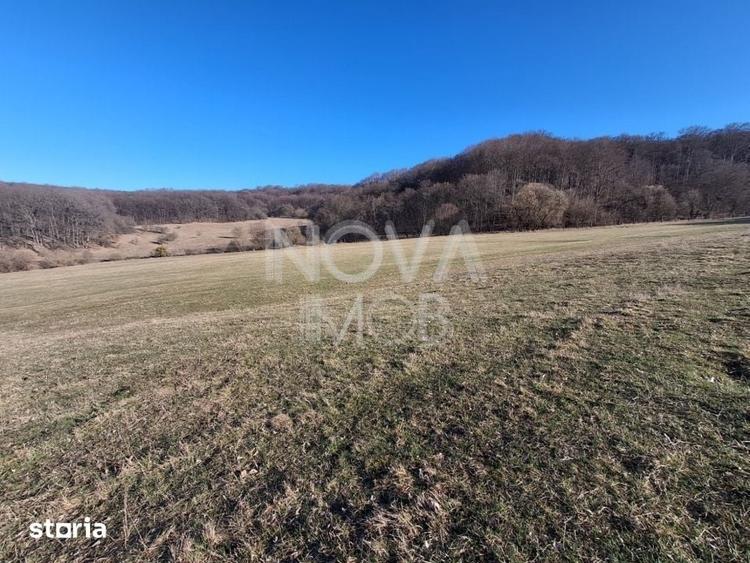 Casă cu 5 camere cu Teren 22852 Mp în Central