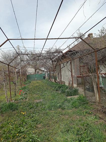 Casă cu 3 camere cu Teren 656 Mp în Fierbinți-Târg