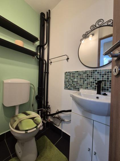 Apartament 3 camere Nicolina - Scoala Alecu Russo - 13
