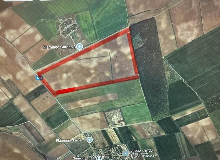 Teren Construcții intravilan de 450000 mp, în Corbeanca