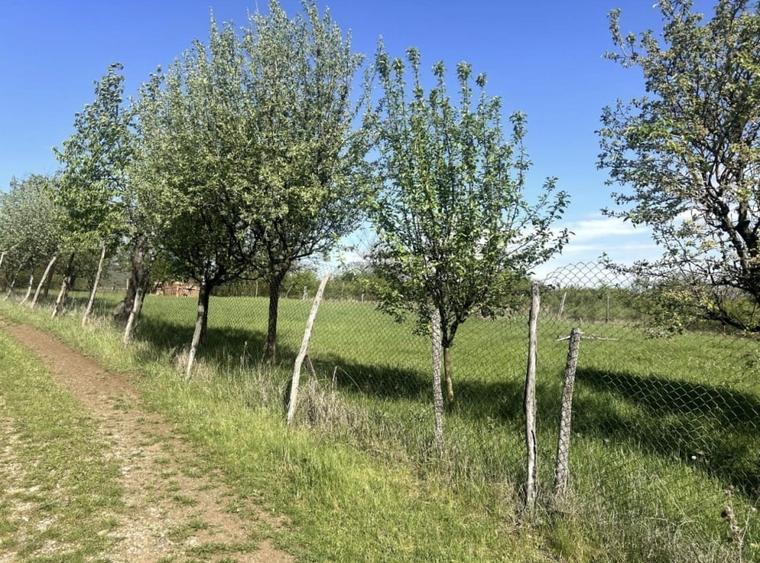 Teren Construcții intravilan de 700 mp, în Cetate