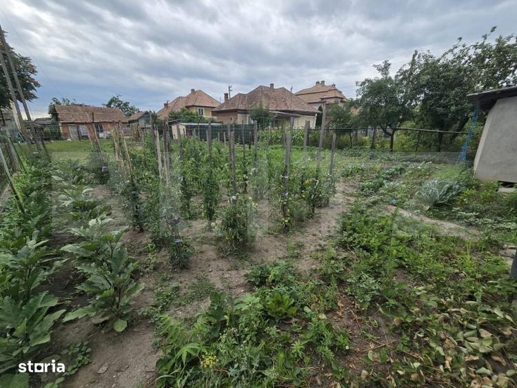 Casă cu 3 camere în Central
