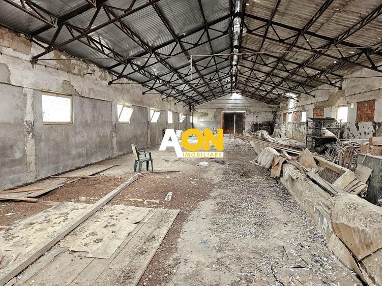 Spațiu industrial, de 1,400 mp, în Lunca Mureșului