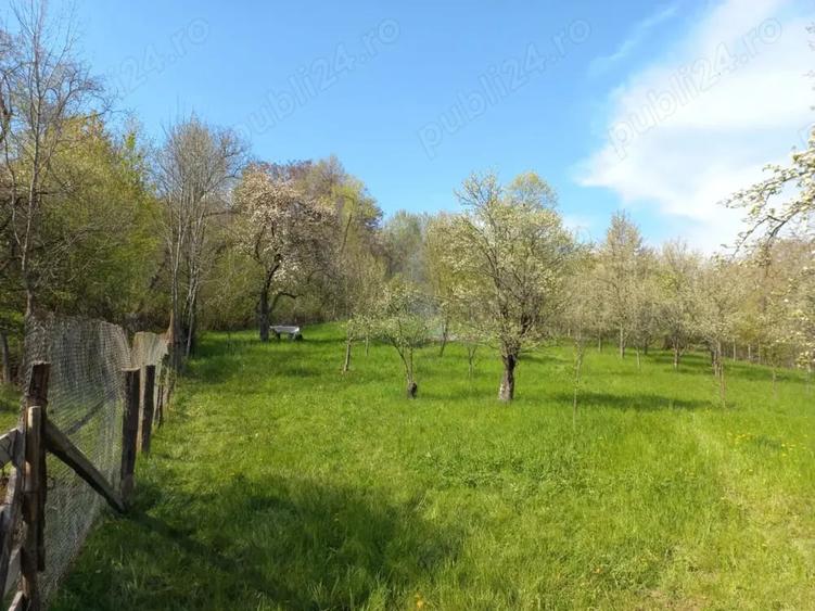 Teren de 1950 mp, în Central