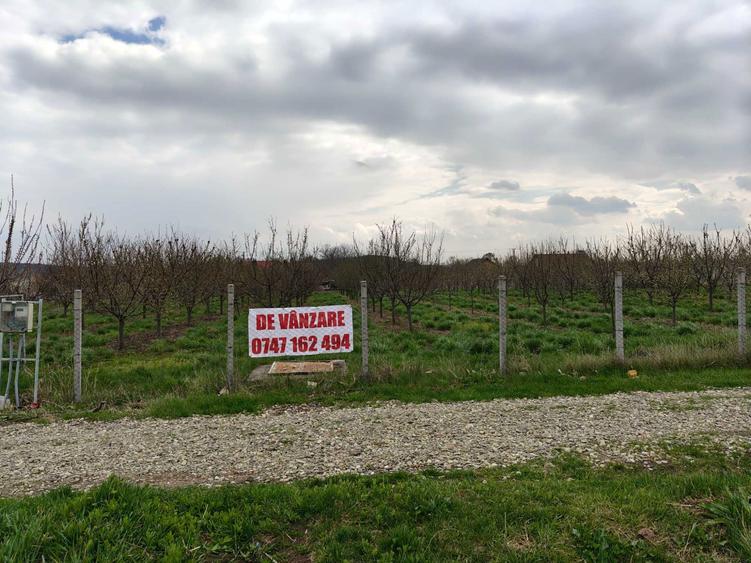 Teren de 5800 mp, în Mădârjești