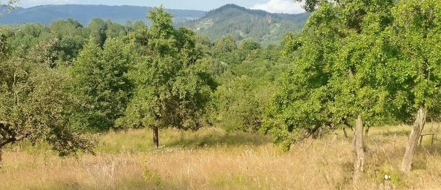 Teren de 18300 mp, în Bughea de Sus