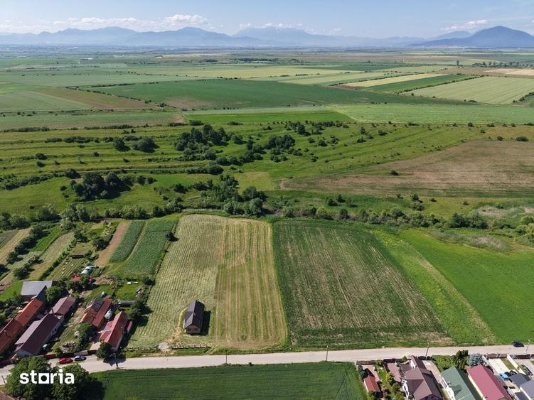 Teren de 10000 mp, în Feldioara