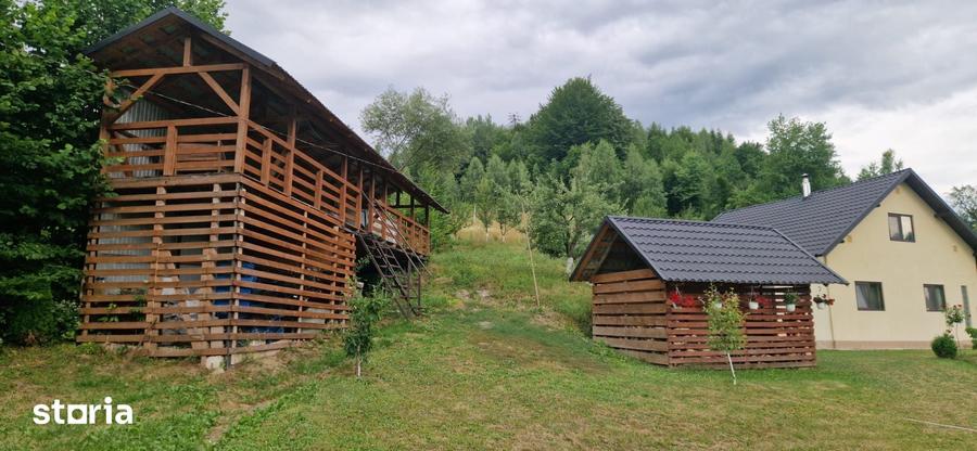 Casă cu 3 camere cu Teren 9700 Mp în Stulpicani