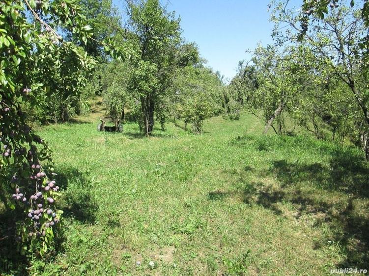 Teren de 4000 mp, în Drăgăneasa