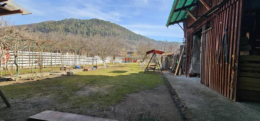 Casă individuală cu 7 camere cu Canalizare în Pianu de Sus