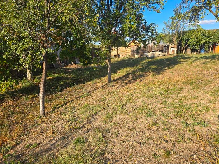 Casă individuală cu 3 camere cu Teren 2287 Mp în Pleșcoi