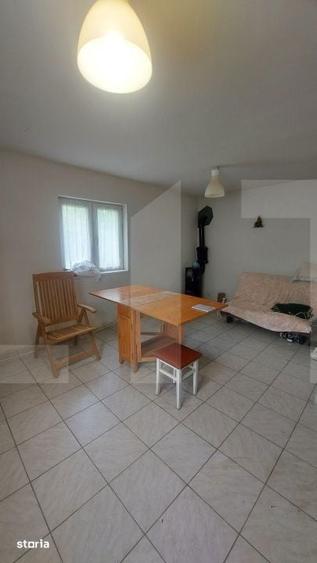 Casa cu teren de 8.570 mp cu iaz si livada I Bacel - 4